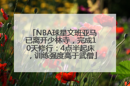 NBA球星文班亚马已离开少林寺，完成10天修行：4点半起床，训练强度高于武僧