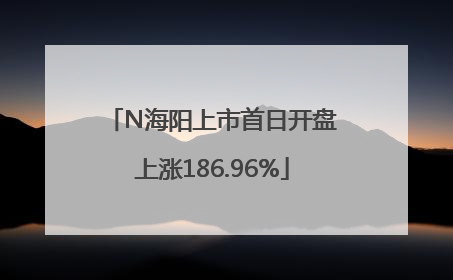 N海阳上市首日开盘上涨186.96%