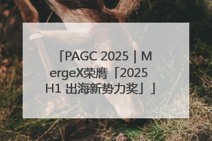 PAGC 2025｜MergeX荣膺「2025 H1 出海新势力奖」